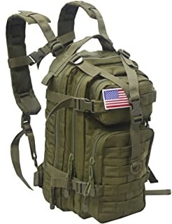 ODM militärische taktische Rucksack Wanze LHiking-Rucksack-30l aus Tasche