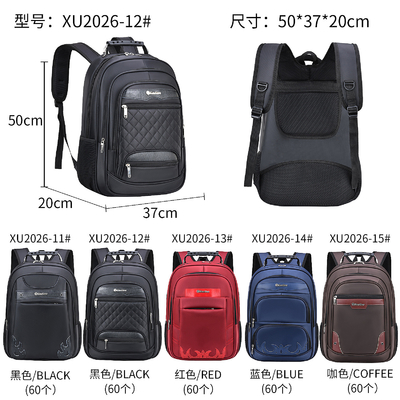 Das Geschäfts-Laptop-Rucksack-Rucksack-Reise 800g der Männer zufällige