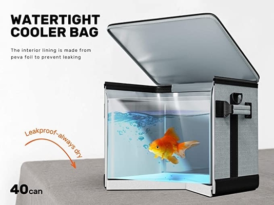 Wasserundurchlässige zusammenklappbare Isolierkühltasche-Brotdose für kampierenden Picknick-Grill